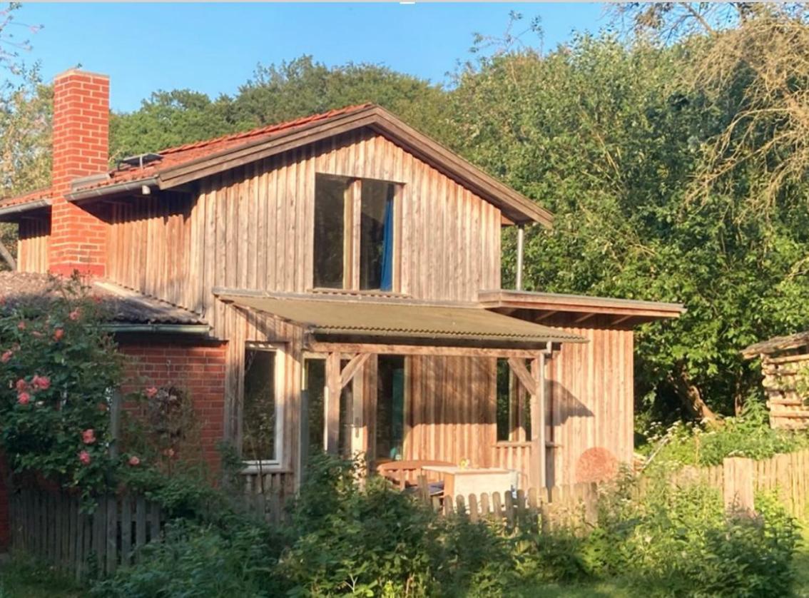 Natur Kunst Ferienhaus Neu Darchau Kültér fotó